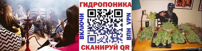 Где найти наркотики Бийск Псилоцибиновые грибы  Гашиш  Кокаин  omg ССЫЛКА  A-PVP 