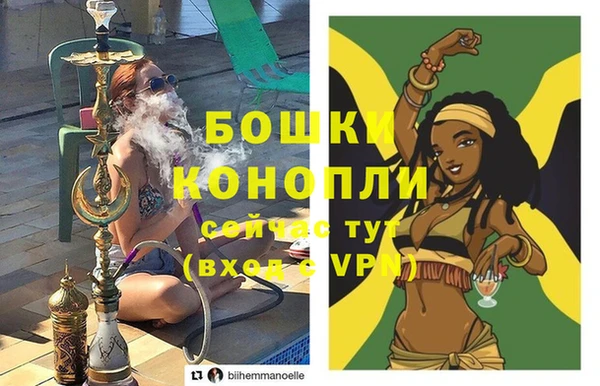 мдпв Карпинск