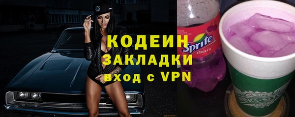 мдпв Карпинск