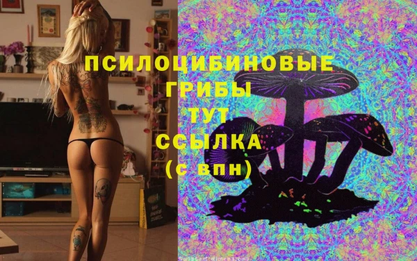 мдпв Карпинск