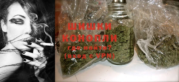 мдпв Карпинск