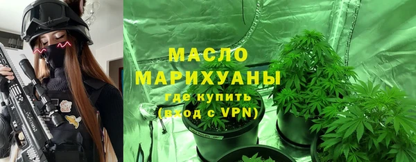сатива Кинешма
