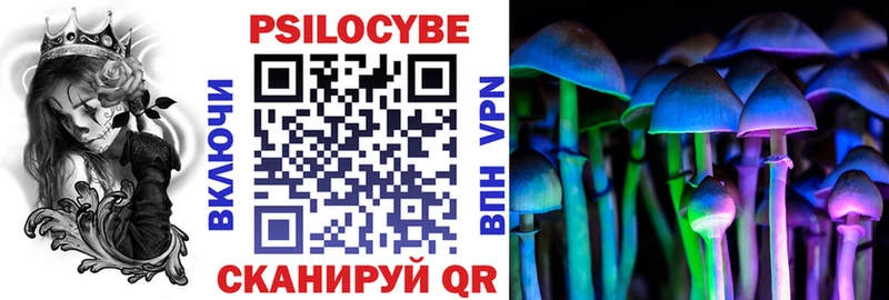 купить закладку  Бийск  Псилоцибиновые грибы Psilocybe 