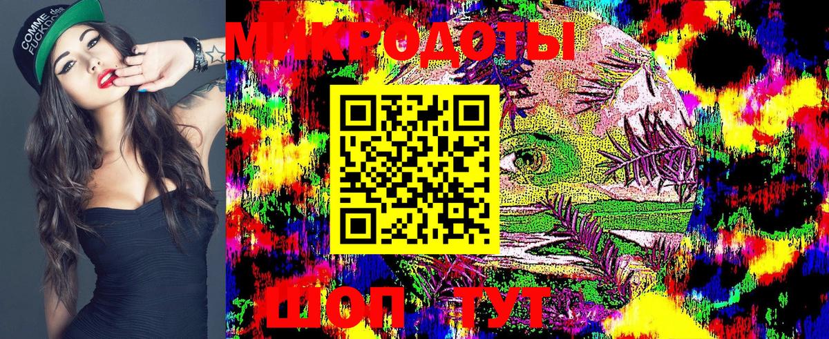 Псилоцибиновые грибы GOLDEN TEACHER  наркота  Бийск  Псилоцибиновые грибы GOLDEN TEACHER 