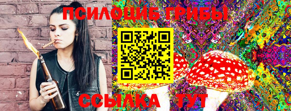 Галлюциногенные грибы Psilocybe  Вход с VPN  Бийск 